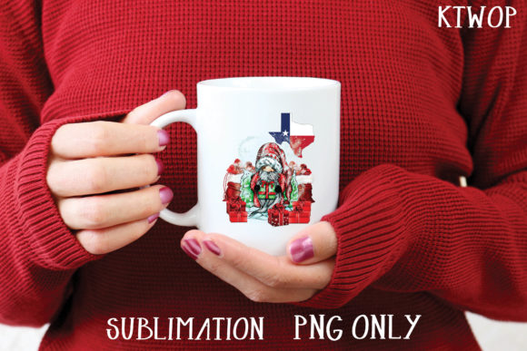 Christmas Gnome Sublimation Texas PNG