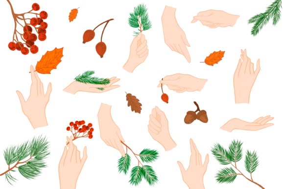 Hands with Christmas Tree Branch Illustrations